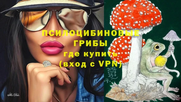 spice Верея