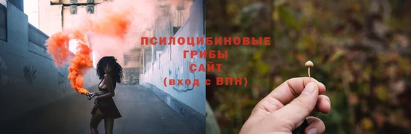 spice Верея