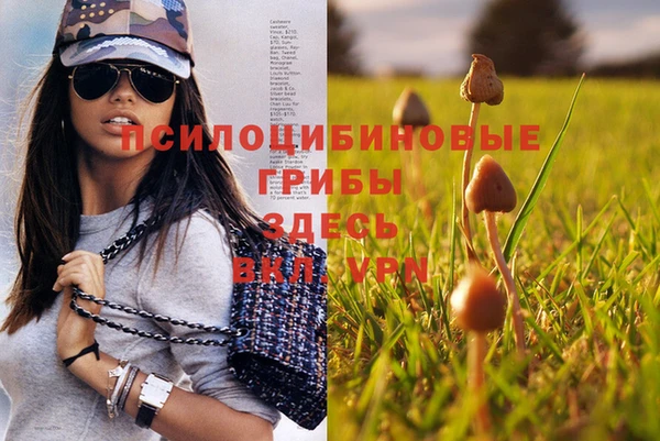 МДПВ Верхнеуральск