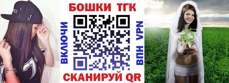 что такое   Плёс  Бошки Шишки ГИДРОПОН 